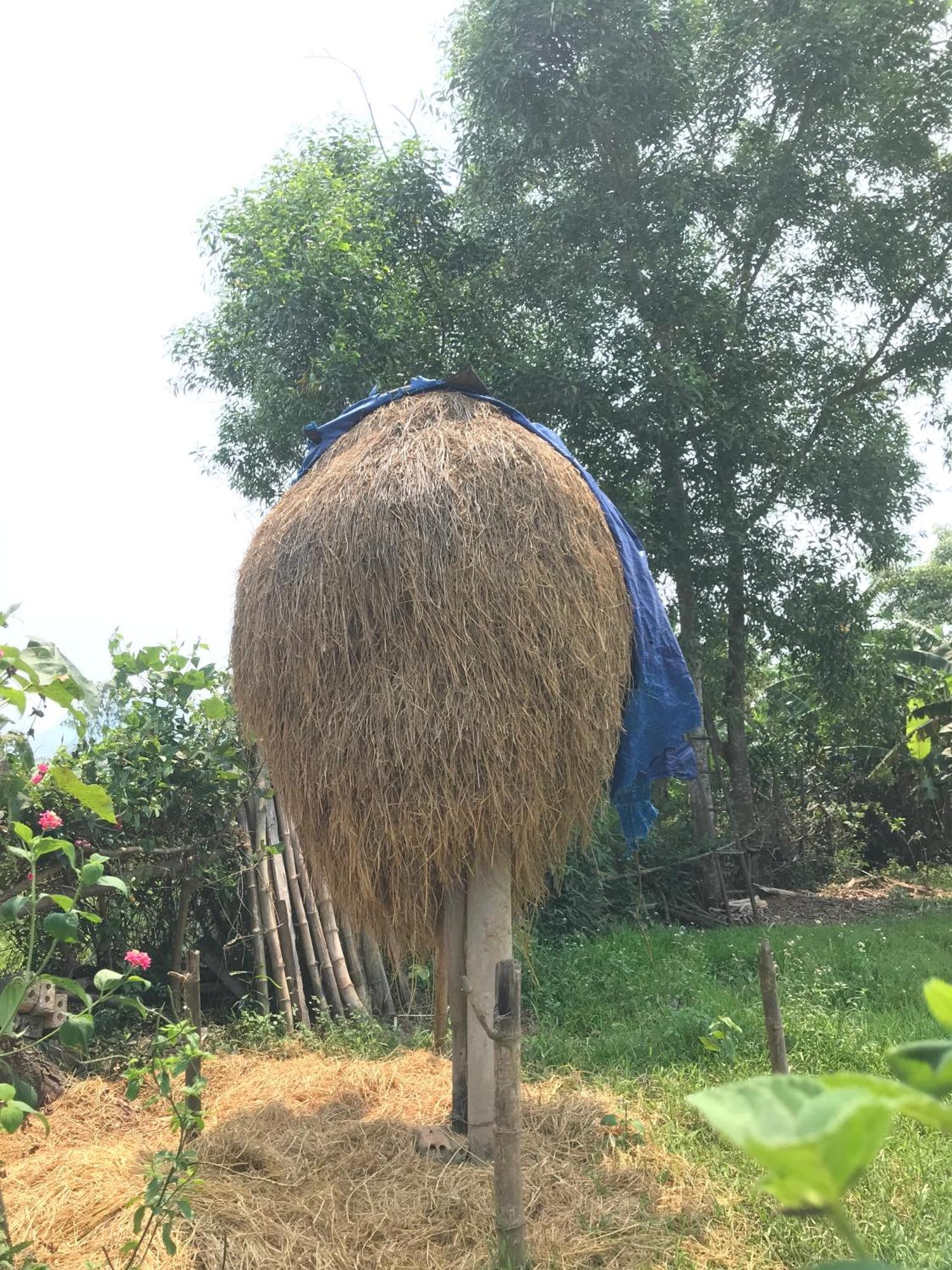 Happy Field Homestay 峰牙 外观 照片